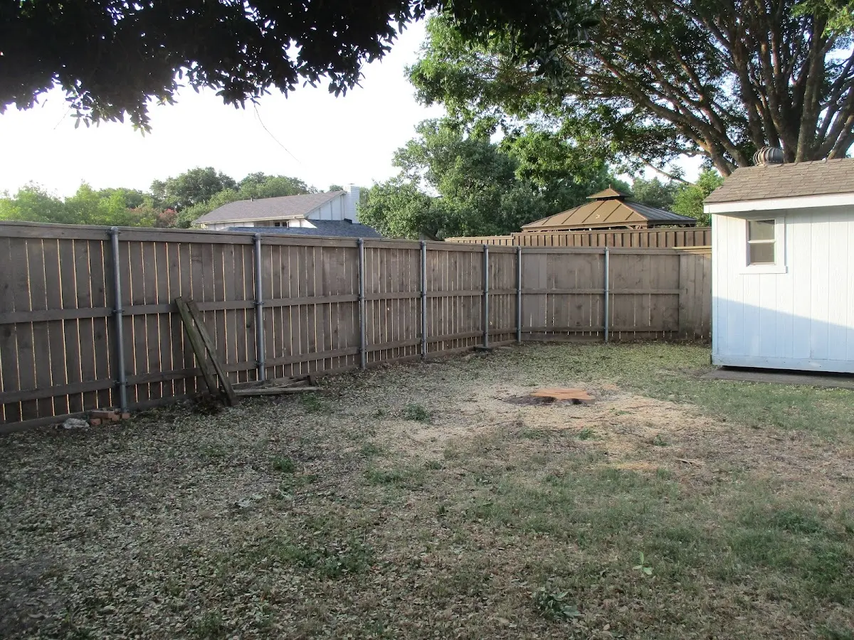 Cleared yard after professional tree removal in Darragh